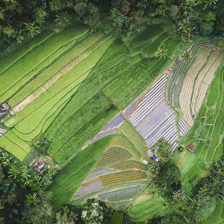 Outdoor terrace seating suitable for families in Barcelona